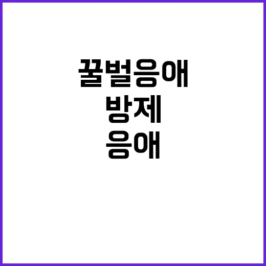 꿀벌 응애 집중 방…