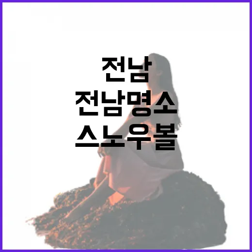 전남 명소 스노우볼 속 풍경