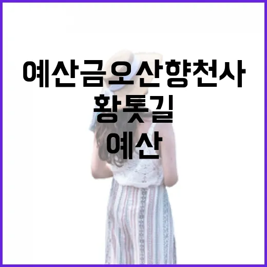 예산 금오산 향천사 황톳길 산책기