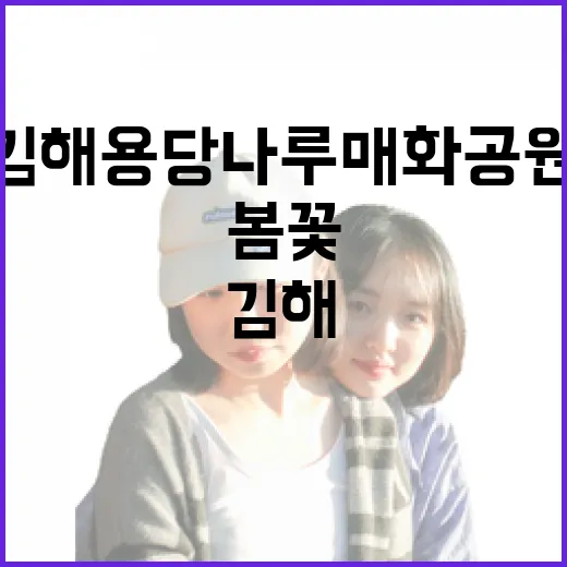 김해 용당나루 매화공원 봄꽃 산책길