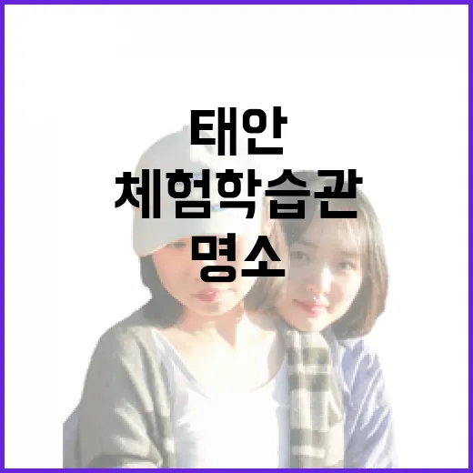 태안 몽산포 체험학습관 아이 인기 명소