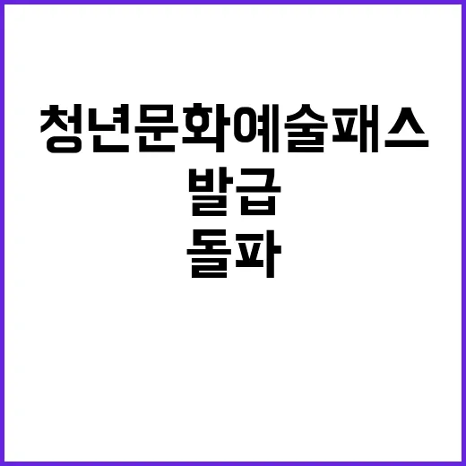 청년 문화예술패스 …
