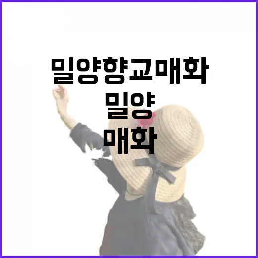 밀양 향교 매화꽃과 전통의 봄 풍경