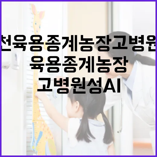 포천 육용종계 농장 고병원성 AI 확산 차단 총력