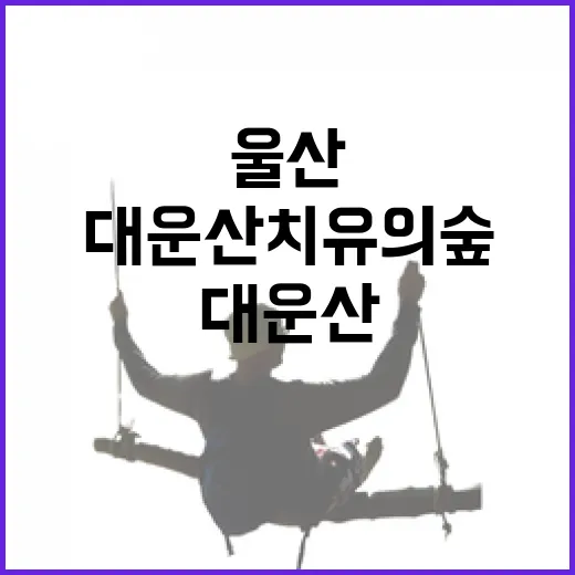 울산 대운산 치유의 숲에서 만나는 자연의 쉼표