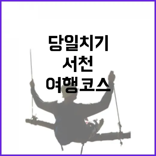 3월 서천 당일치기 봄 여행 코스