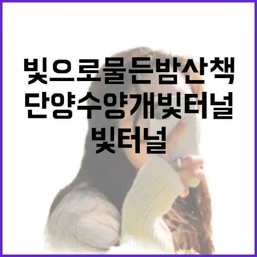 단양 수양개 빛터널, 빛으로 물든 밤 산책