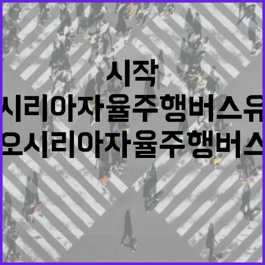 부산 오시리아 자율주행버스 유상 운송 시작