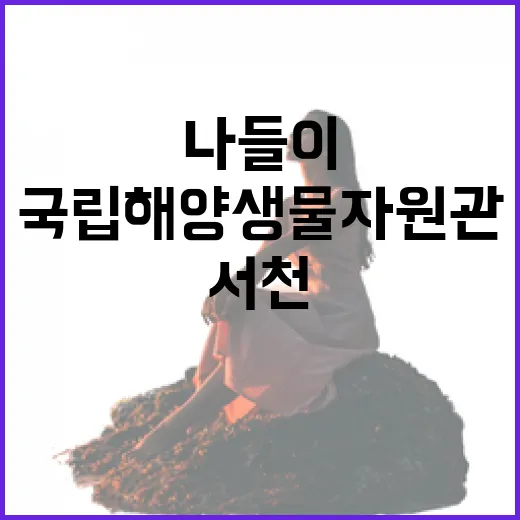 서천 국립해양생물자원관 씨큐리움, 가족 나들이 명소