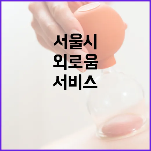 서울시 24시간 외로움 상담 서비스 안내