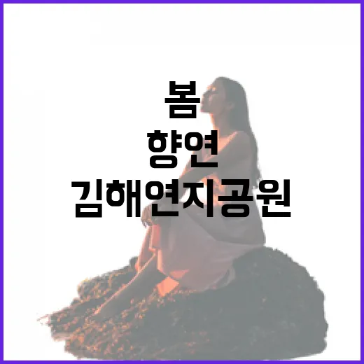 김해 연지공원 봄꽃 향연 시작