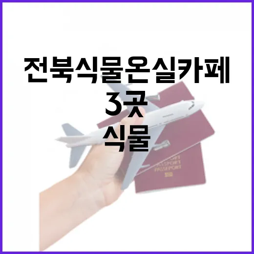 전북 식물 온실 카페 3곳 봄맞이 산책