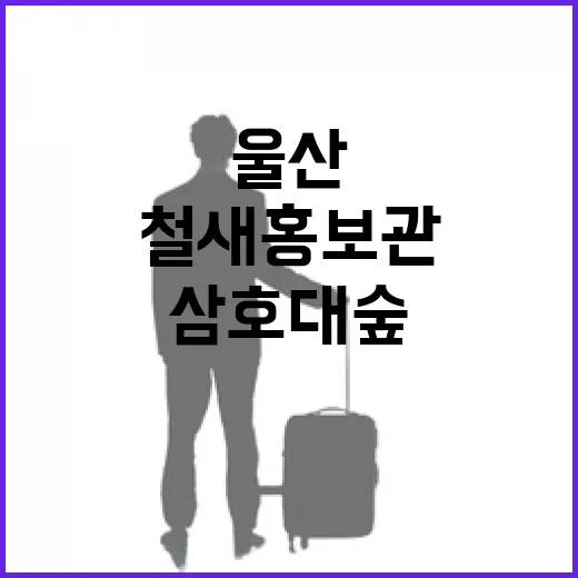 울산 철새여행 명소 철새홍보관과 삼호대숲
