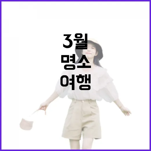 3월 속초 봄맞이 여행 명소 총정리