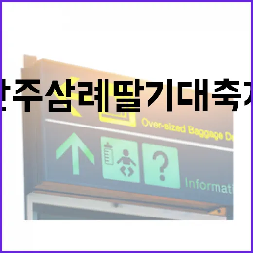 완주삼례딸기대축제 봄 향연 현장