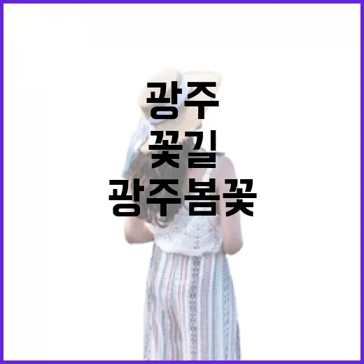광주 봄꽃 향연, 꽃길 따라 봄을 만나다