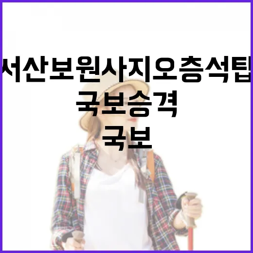 서산 보원사지 오층석탑 국보 승격의 의미