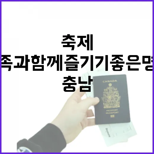 충남 봄 축제, 가족과 함께 즐기기 좋은 명소