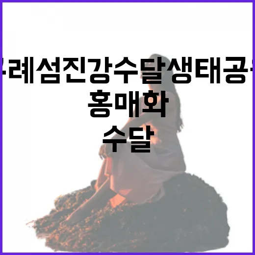 홍매화 물든 구례 섬진강 수달생태공원 봄 산책