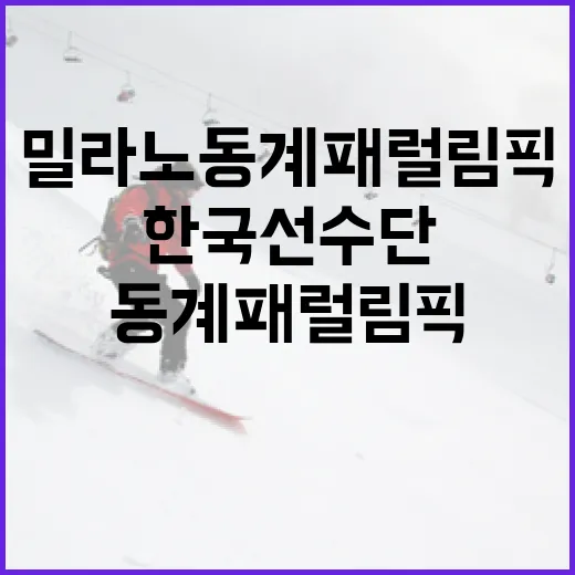 밀라노 동계패럴림픽 빛낸 한국 선수단