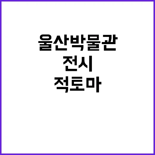 울산박물관 적토마 …