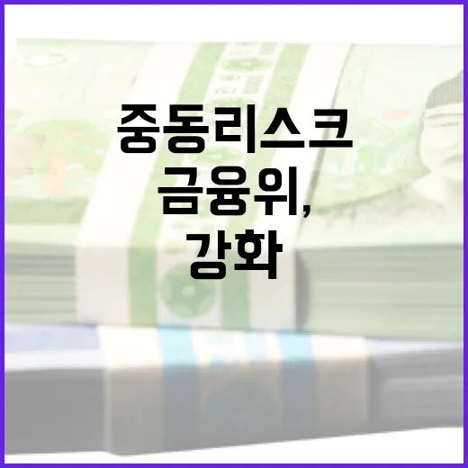 금융위, 중동 리스크 철저 점검과 대응 강화