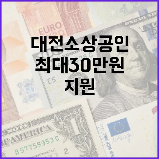 대전 소상공인 최대 30만원 지원