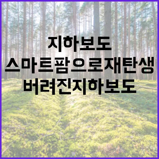 버려진 지하보도, 첨단 스마트팜으로 재탄생