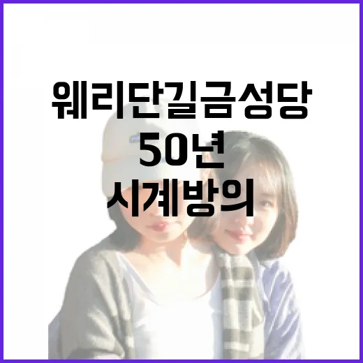 전주 웨리단길 금성당, 50년 시계방의 감성 북카페 변신