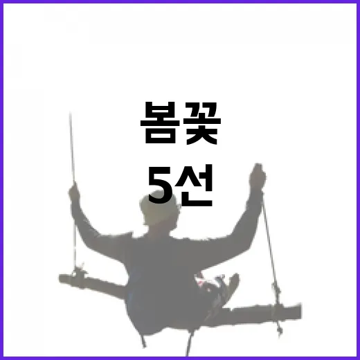경북 봄꽃 명소 5선