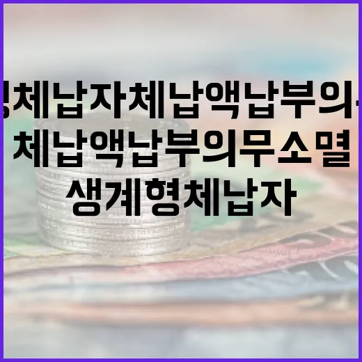 생계형 체납자 체납액 납부의무 소멸 시행