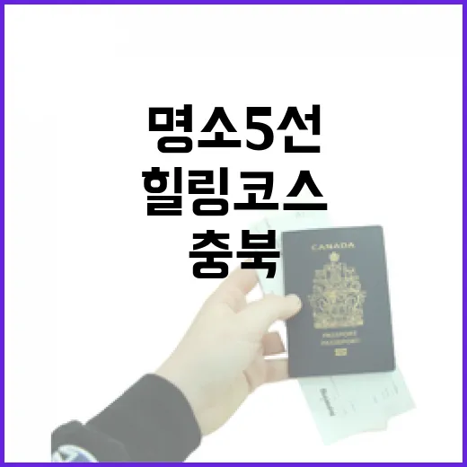 충북 봄 명소 5선, 자연과 함께하는 힐링 코스