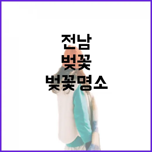 전남 밤에도 빛나는 벚꽃 명소