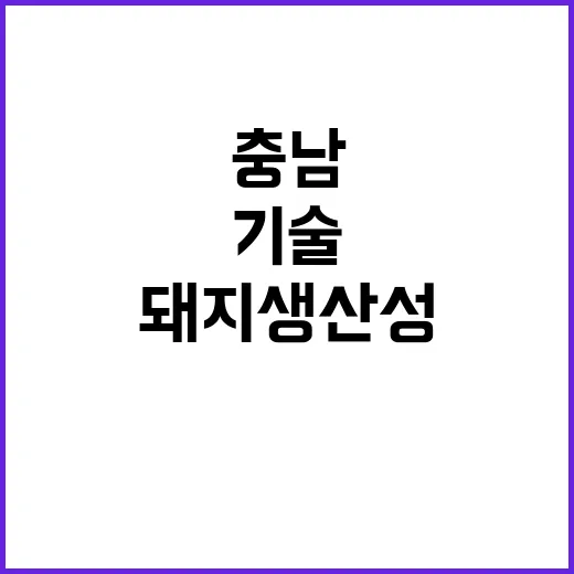 충남 돼지 생산성 혁신 기술 찾는다