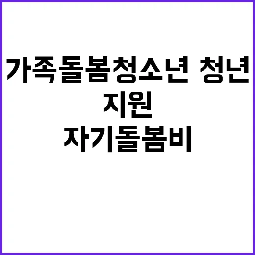 가족돌봄 청소년·청…