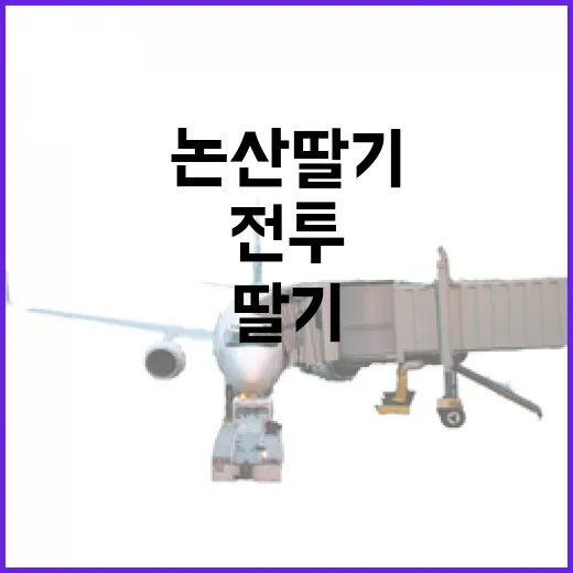 논산 딸기와 전투의 하루