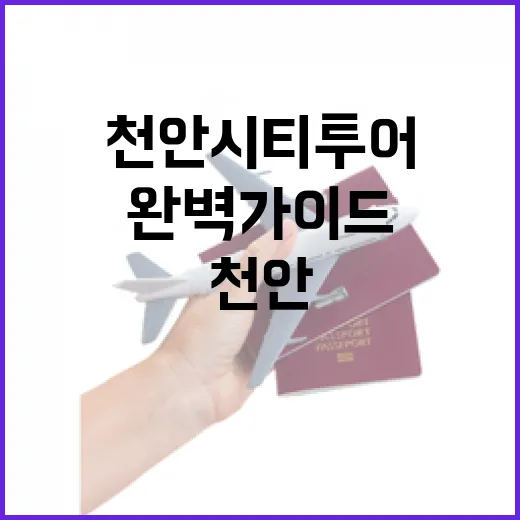 천안 시티투어 오감체험 완벽 가이드