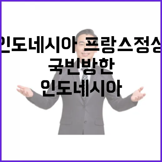 인도네시아·프랑스 정상 잇단 국빈 방한
