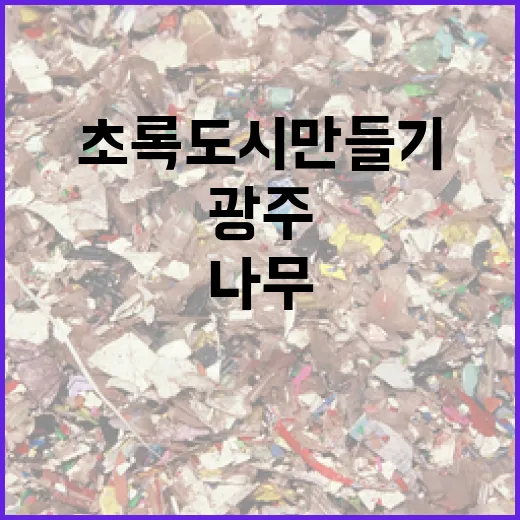 광주 나무 나누기 행사로 초록 도시 만들기