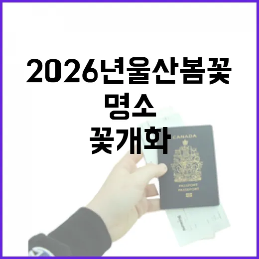 2026년 울산 봄꽃 개화와 명소 안내