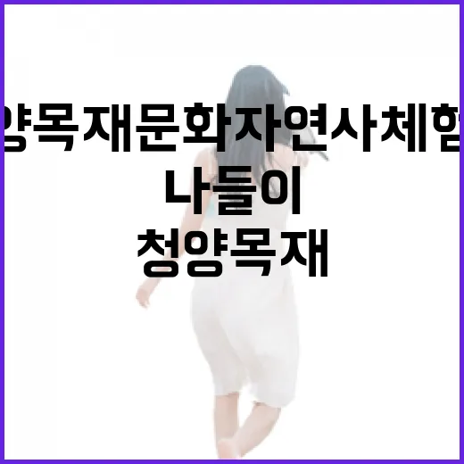 청양 목재문화 자연사체험관, 나무 향기 가득한 가족 나들이 명소