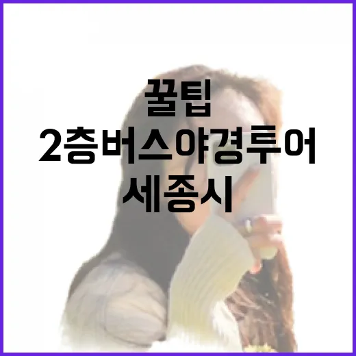 세종시 2층 버스 야경투어 명당 꿀팁