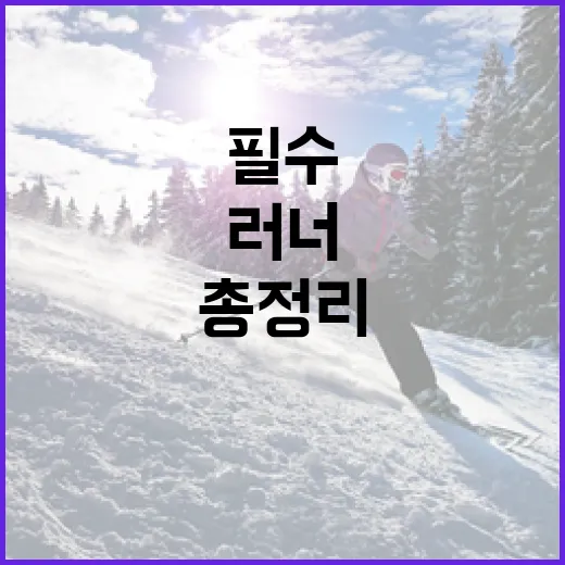 서울 러너 필수 정보 총정리