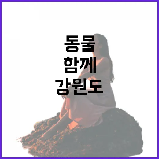 강원도, 반려동물과 함께하는 체류형 관광 확대