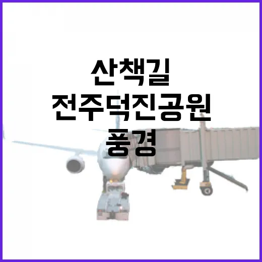 전주 덕진공원 산책길 새단장 풍경