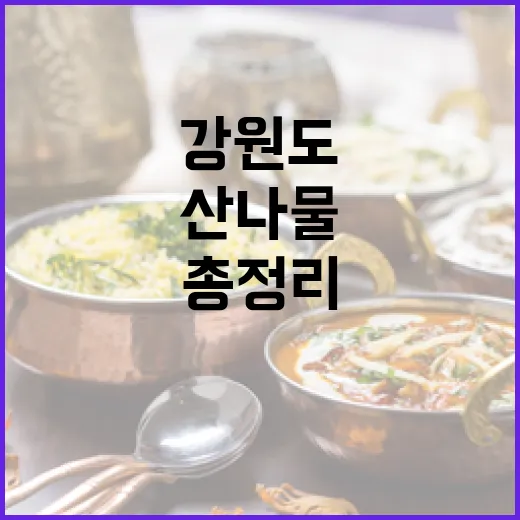 강원도 봄 산나물 맛집 총정리