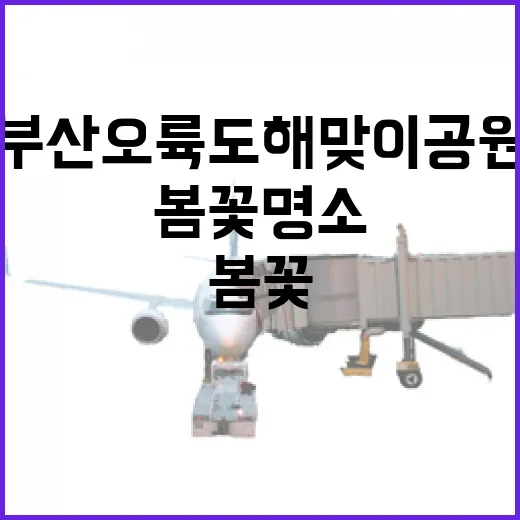 부산 오륙도 해맞이공원 봄꽃 명소 집중 조명