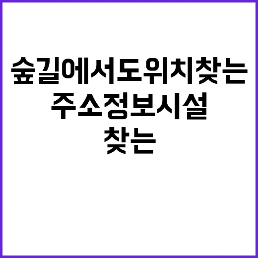 숲길에서도 위치 찾…