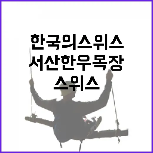 눈 덮인 서산 한우목장, 한국의 스위스