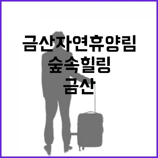 금산 자연휴양림, 숲속 힐링 명소